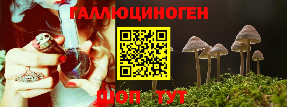 Псилоцибиновые грибы Psilocybine cubensis Боровичи
