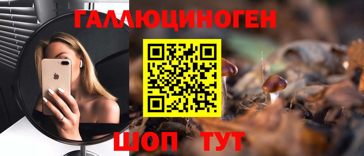 закладка  Галлюциногенные грибы Psilocybine cubensis  Вход с VPN  Боровичи  Псилоцибиновые грибы GOLDEN TEACHER 
